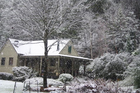 Shady Brook Cottages - ACT Tourism 30