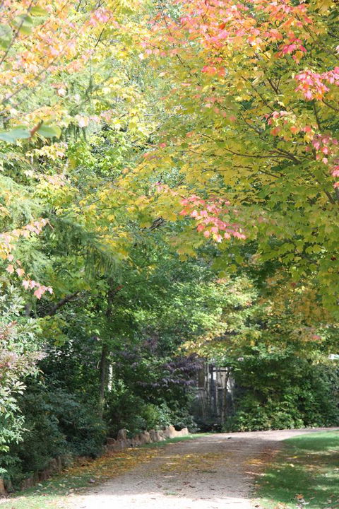 Shady Brook Cottages - ACT Tourism 14