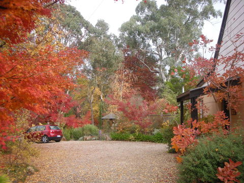 Merrimeet Cottages - ACT Tourism 5