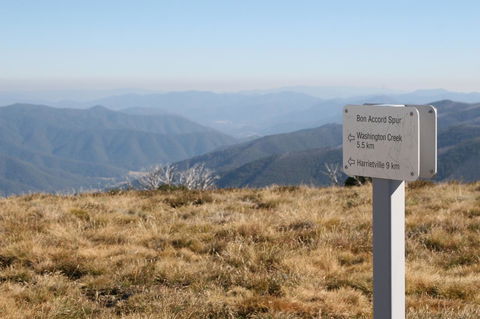 The Harrietville Snowline Hotel - ACT Tourism 31