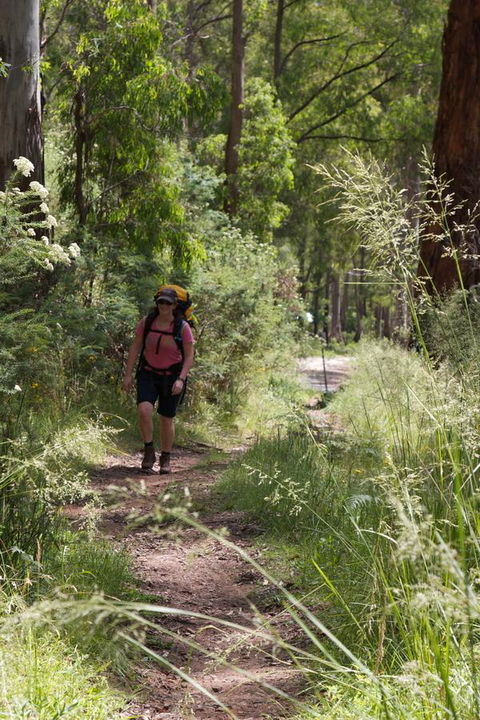 The Harrietville Snowline Hotel - ACT Tourism 11