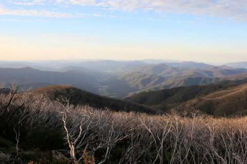 The Harrietville Snowline Hotel - ACT Tourism 36
