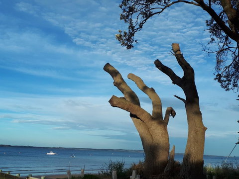 Apartments In Phillip Island Towers - Block C - ACT Tourism 10