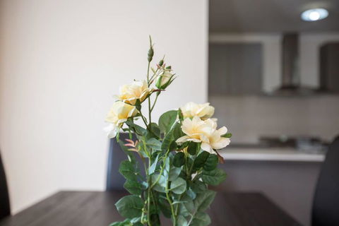 Holiday Rose - ACT Tourism 8