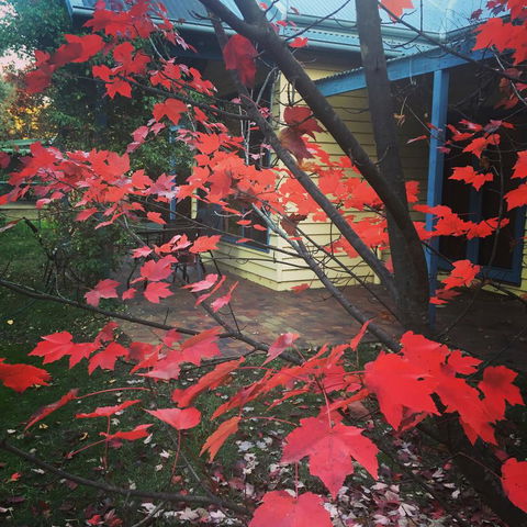 The Orchard House - ACT Tourism 27