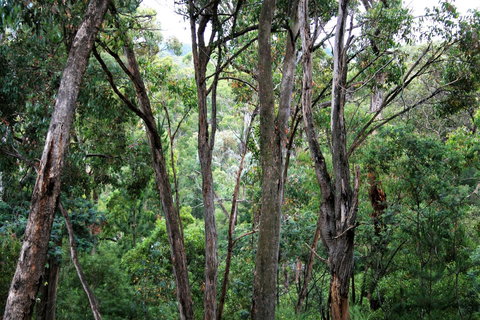 Tangenong Cottages - ACT Tourism 9