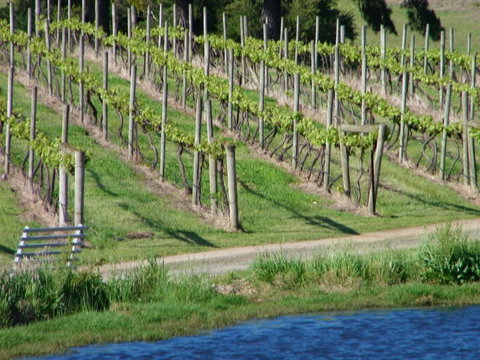 De\'Vine Escape - ACT Tourism 13