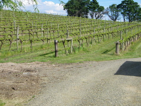 De\'Vine Escape - ACT Tourism 23