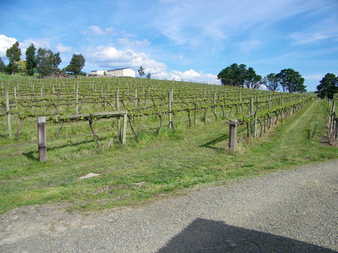 De\'Vine Escape - ACT Tourism 30