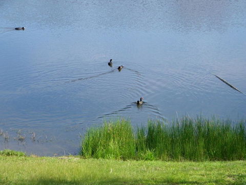 De\'Vine Escape - ACT Tourism 19