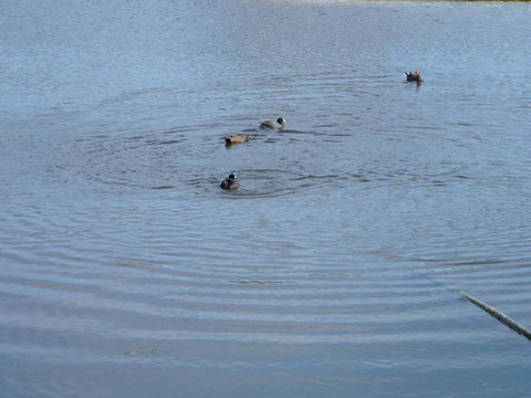 De\'Vine Escape - ACT Tourism 21