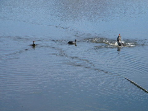 De\'Vine Escape - ACT Tourism 20