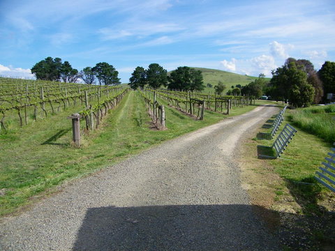 De\'Vine Escape - ACT Tourism 24