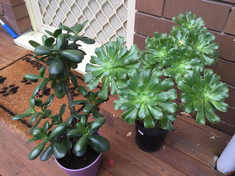 Doncaster Westfield Home Stay - ACT Tourism 23