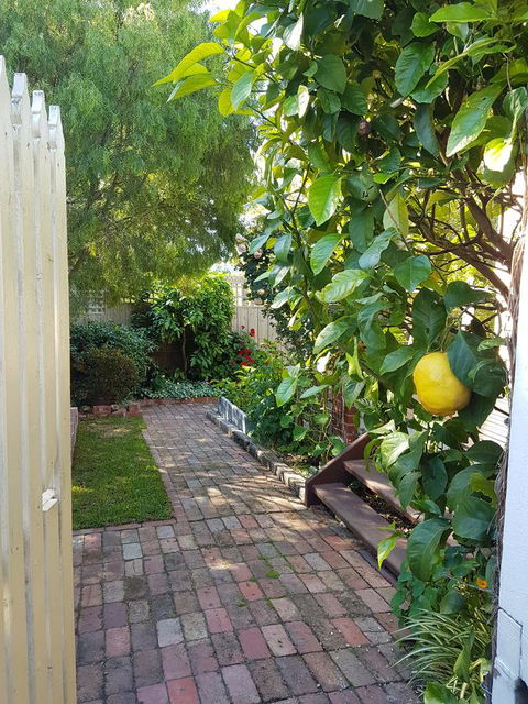 Healesville House - Fig Tree House - ACT Tourism 17