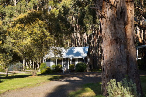 Bodhi Daylesford - ACT Tourism 8