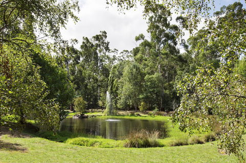 Nightcap At York On Lilydale - ACT Tourism 34