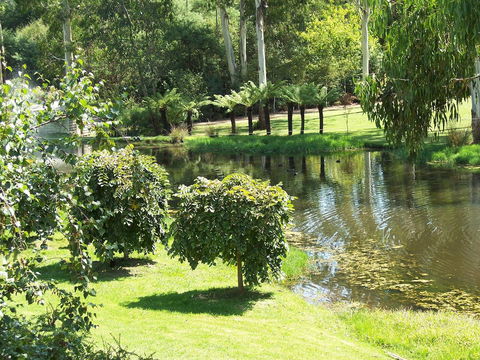 Nightcap At York On Lilydale - ACT Tourism 36