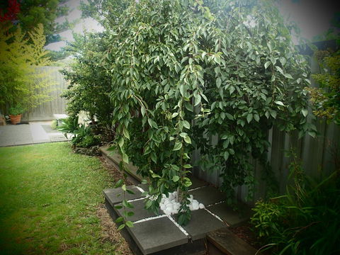 Azen Haven - ACT Tourism 12