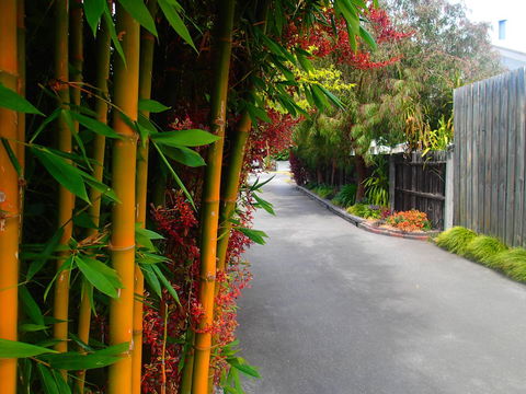 Azen Haven - ACT Tourism 14