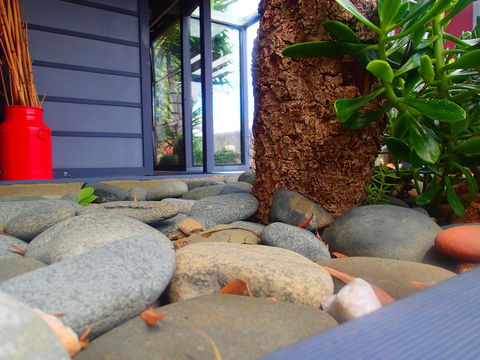 Azen Haven - ACT Tourism 11