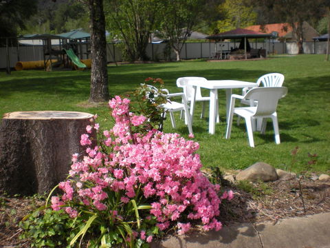 Willow Dene Holiday Apartments - ACT Tourism 24