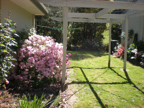 Willow Dene Holiday Apartments - ACT Tourism 25