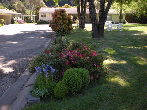 Willow Dene Holiday Apartments - ACT Tourism 22