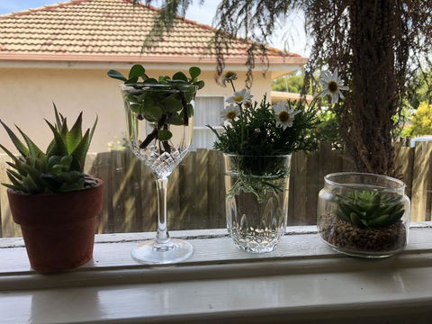 Growse House Yarram 3BR - ACT Tourism 10