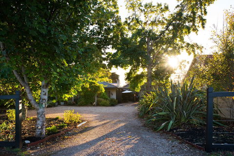 East Street Daylesford - ACT Tourism 7