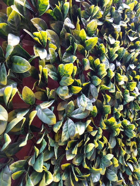 Myers CBD - ACT Tourism 10