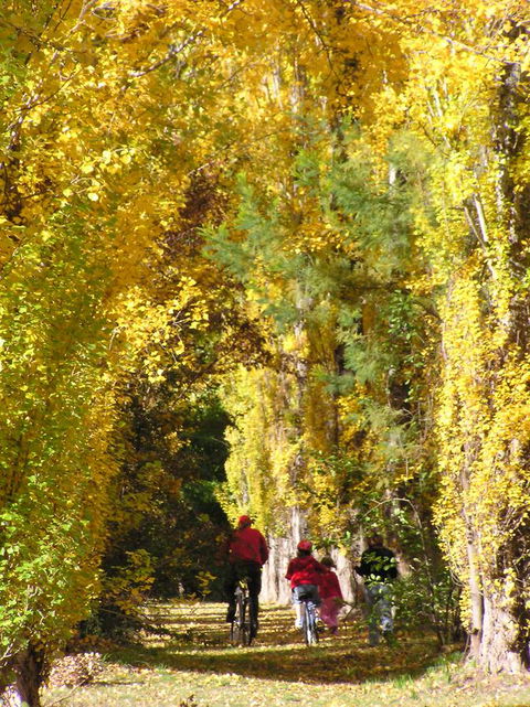 On The Banks - ACT Tourism 15