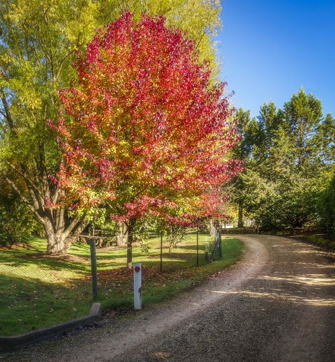 Bright Mystic Valley - ACT Tourism 23