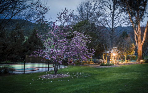 Bright Mystic Valley - ACT Tourism 26