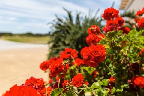 Cottages For Couples - ACT Tourism 13