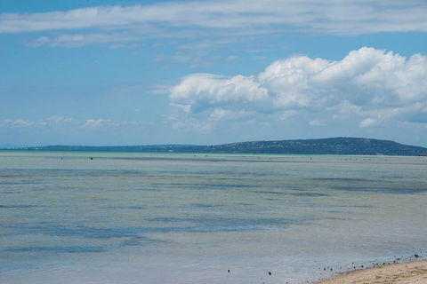 Jettycove Beach House - ACT Tourism 20