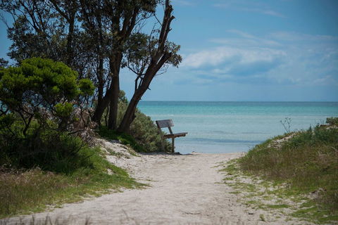 Jettycove Beach House - ACT Tourism 26