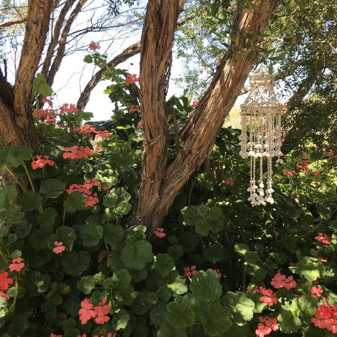 The Fingal Farm - ACT Tourism 27
