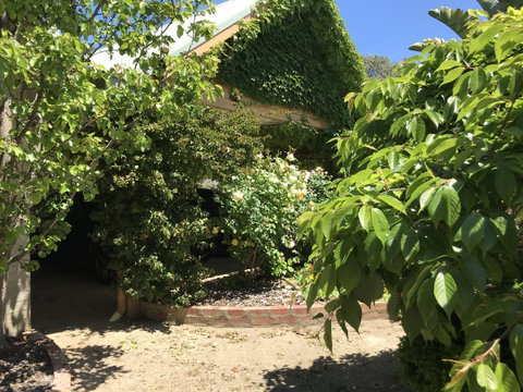 The Fingal Farm - ACT Tourism 34