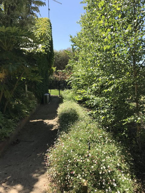 The Fingal Farm - ACT Tourism 26
