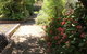The Fingal Farm - thumb 19