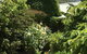 The Fingal Farm - thumb 7