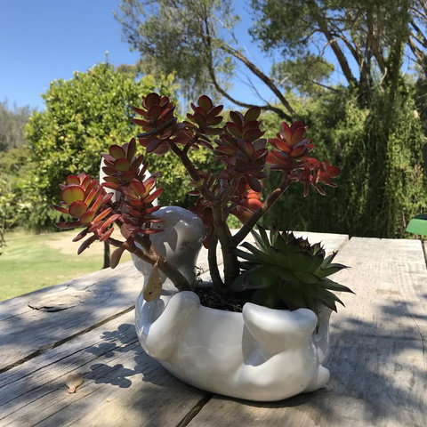 The Fingal Farm - ACT Tourism 30