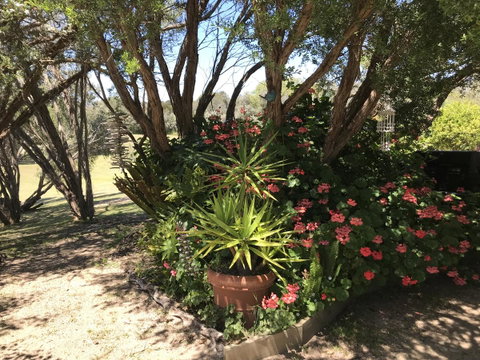 The Fingal Farm - ACT Tourism 33