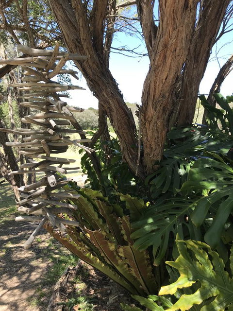 The Fingal Farm - ACT Tourism 11