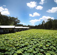 The Boathouses at Leaves  Fishes - ACT Tourism
