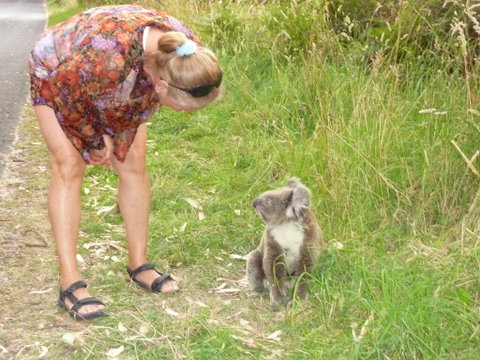 The Boomerangs At Johanna - ACT Tourism 3