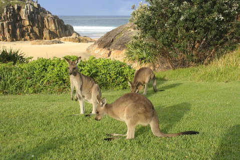 The Carrai - ACT Tourism 2