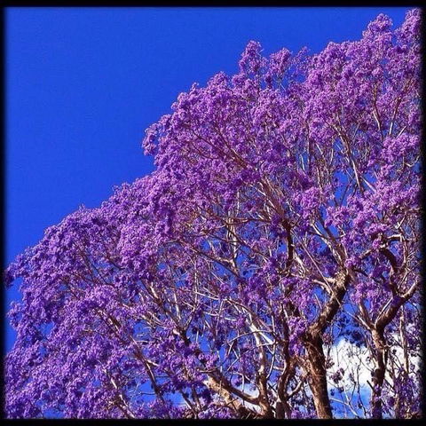 The Church - ACT Tourism 3