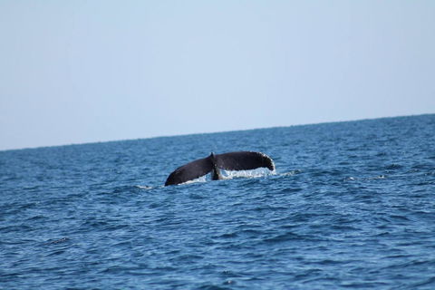 The Cove Holiday Village - ACT Tourism 1